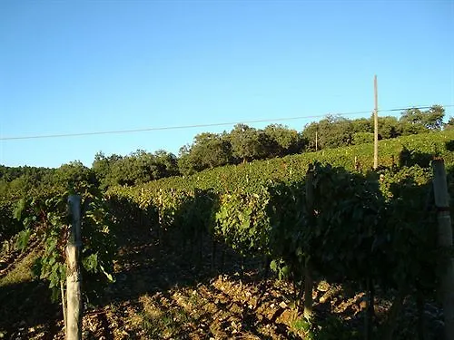 Agriturismo Il Villino Hotel Castellina in Chianti  Fonterutoli